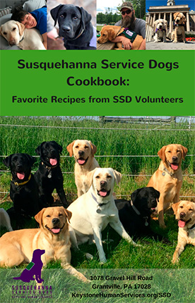 SSD Cookbook cover