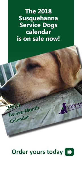 susquehanna service dogs keystone human services comprehensive community based intellectual disabilities susquehanna service dogs keystone human services comprehensive community based intellectual disabilities