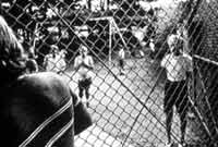 Young man behind chain link at institution
