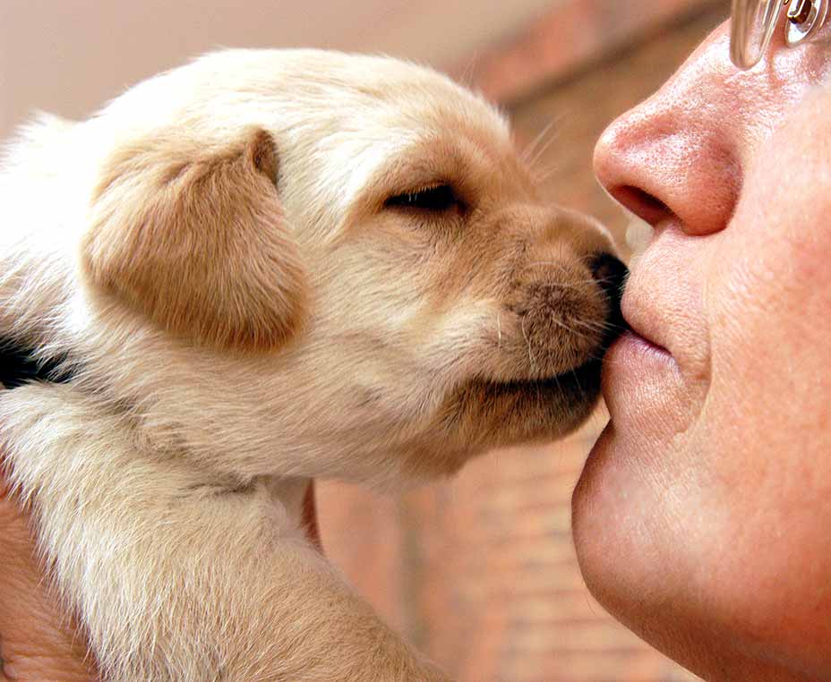 Puppy Hugging - Keystone Human Services